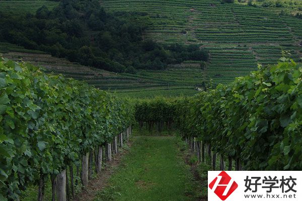 中鋼集團衡陽重機技工學(xué)校
