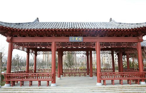 山東中醫(yī)藥高等專科學校