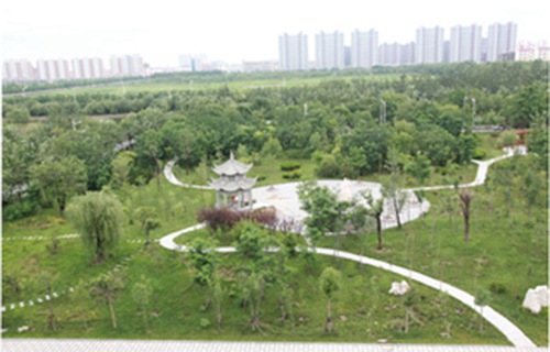 濱州職業(yè)學院