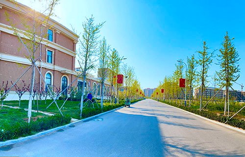 煙臺黃金職業(yè)學院