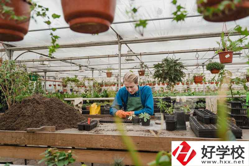 湖南省湘潭縣職校有什么專業(yè)可以選擇？