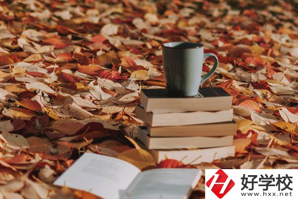 中方縣職業(yè)中等專(zhuān)業(yè)學(xué)校有什么專(zhuān)業(yè)？好不好？