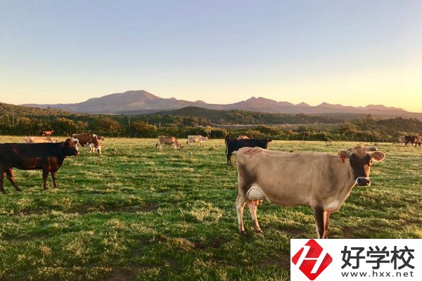 瀘溪縣第一職業(yè)中學(xué)的園林技術(shù)專業(yè)怎么樣？