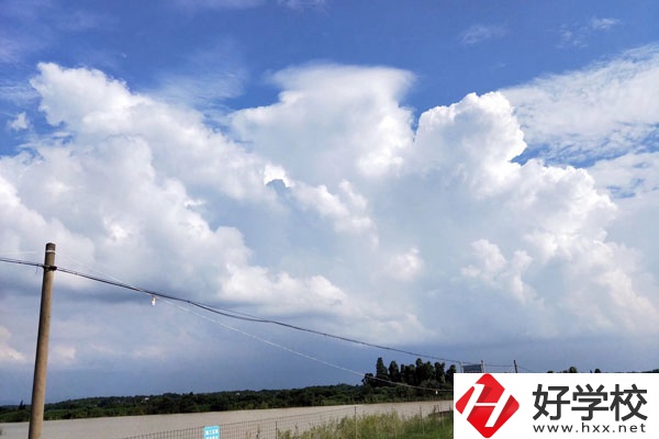 婁底有學(xué)習(xí)音樂或者舞蹈的中專學(xué)校？