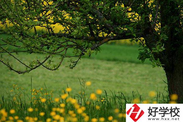 在邵陽讀中職有前途嗎？如何選擇學校呢？