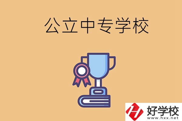 常德的公立中專學(xué)校有哪些？有什么特色？