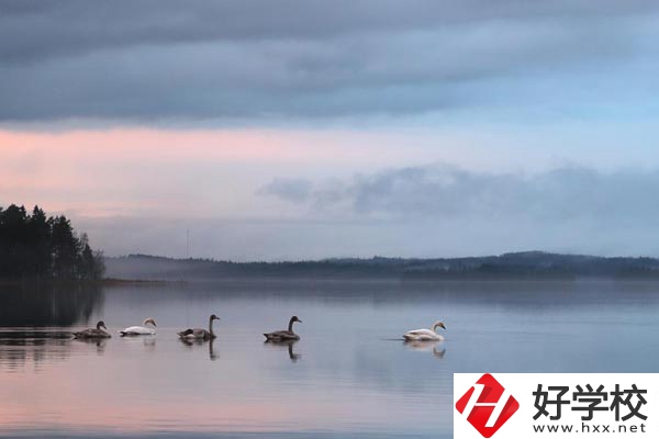 湖南有色金屬中專學(xué)校有哪些專業(yè)？就業(yè)方向如何？
