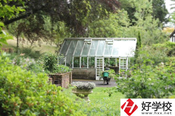 湖南省商業(yè)技師學(xué)院開設(shè)哪些專業(yè)？就業(yè)情況如何？