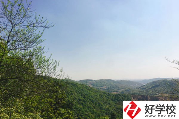 株洲人工智能職業(yè)技術(shù)學(xué)校哪個專業(yè)更好？