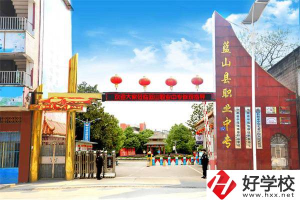 藍(lán)山縣職業(yè)中等專業(yè)學(xué)校是公辦學(xué)校嗎？有什么專業(yè)？