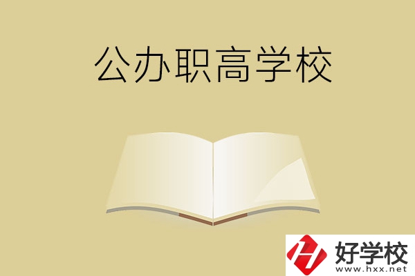 懷化公辦的職高學校有哪些？