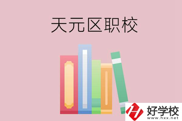株洲市天元區(qū)的職校有哪幾所？