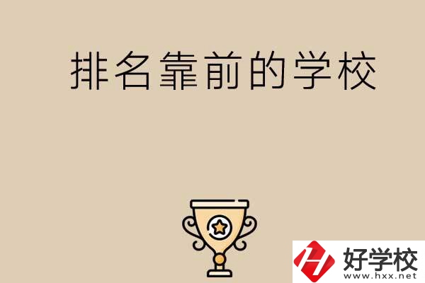 益陽(yáng)市排名比較靠前的中專學(xué)校有哪些？
