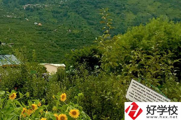 長(zhǎng)沙公辦中職學(xué)校好不好？都有哪些學(xué)校？