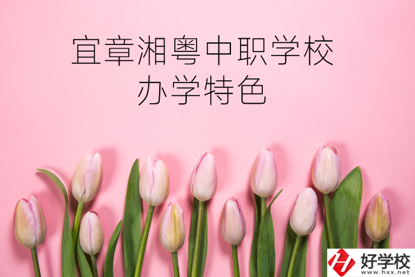 宜章湘粵中職學(xué)校在哪？有什么辦學(xué)特色？
