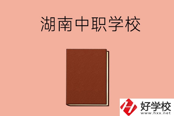 湖南有哪些就業(yè)率比較高的中職學校？