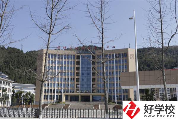 湘西錄取分?jǐn)?shù)低的優(yōu)質(zhì)中專有哪些？有什么招生要求？