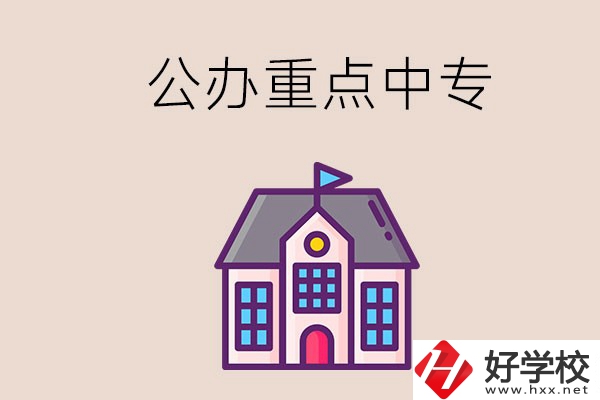 湖南重點(diǎn)中專學(xué)校里哪些是公辦的？