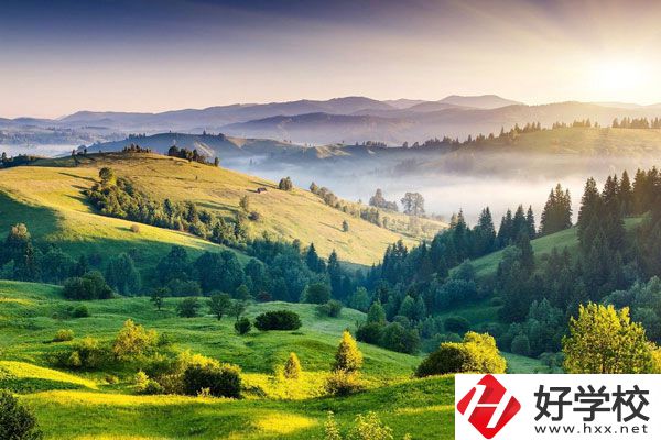 衡陽的中專學(xué)校有哪些新開設(shè)的專業(yè)？
