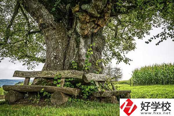 湖南特教中等專業(yè)學(xué)校有哪些特色專業(yè)？有資助政策嗎？