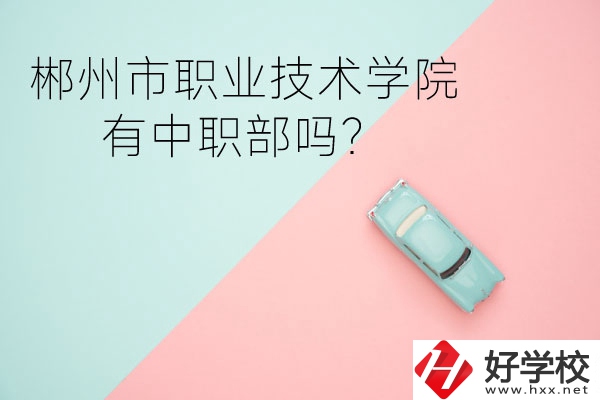 郴州市職業(yè)技術(shù)學(xué)院有中職部嗎？