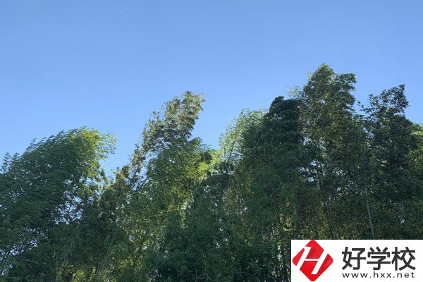 張家界協(xié)力技工學(xué)校好不好？就業(yè)前景怎么樣？