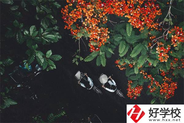 湖南分?jǐn)?shù)低選私立高中還是選職校？選職校還能統(tǒng)考嗎？