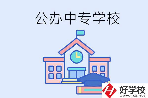 湘西一共有多少所公辦的中專學(xué)校？