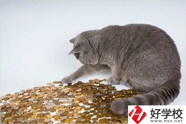 邵陽(yáng)的職高一年學(xué)費(fèi)是多少？比較便宜的學(xué)校有哪些？