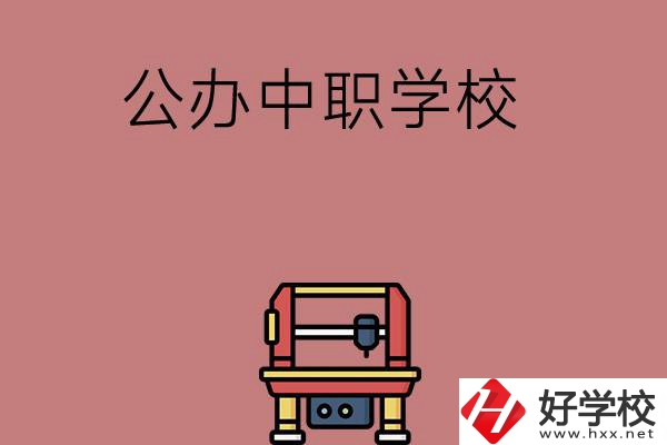 長沙可以學(xué)計算機應(yīng)用專業(yè)的公辦中職學(xué)校有哪些？