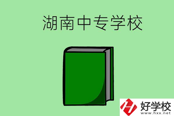 湖南的中專學(xué)校有哪些？都開設(shè)了哪些專業(yè)？