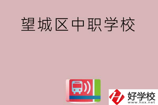 長沙望城區(qū)有哪些中職學校？
