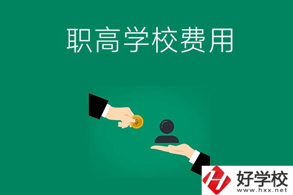 上懷化的公立職高學(xué)校要多少費(fèi)用？