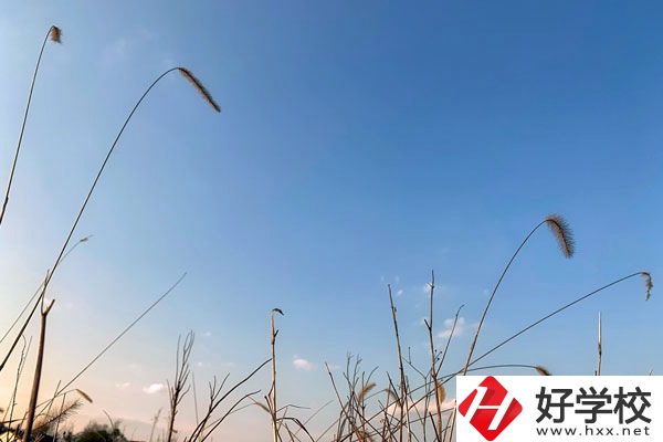 邵陽市護理職校是一所怎樣的學校？