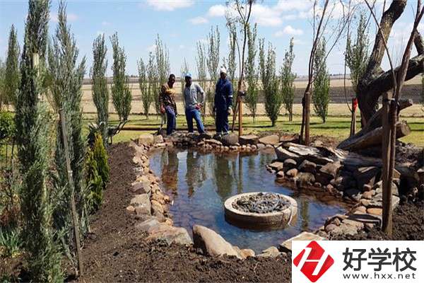 在湖南中職學(xué)哪些專業(yè)更容易考本科？
