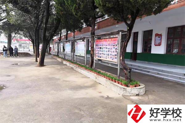 岳陽有沒有升學率高的民辦職高？職高能升學是真的嗎？