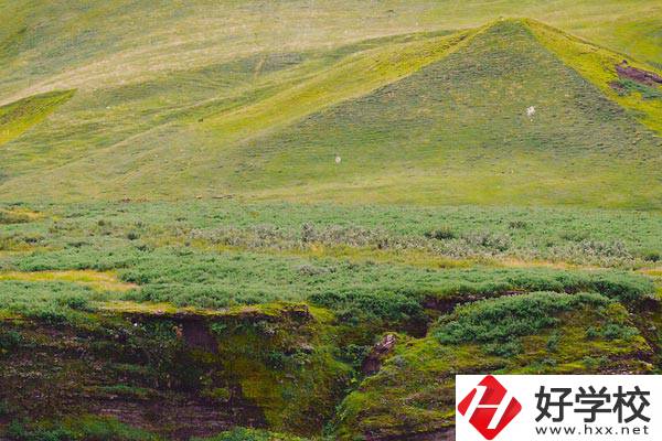 湖南衡南職業(yè)中等專業(yè)學(xué)校好嗎？學(xué)校有什么優(yōu)勢(shì)？