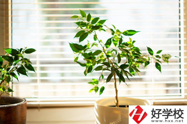 湖南省商業(yè)技師學(xué)院有哪些教學(xué)特色？報(bào)考有何要求？