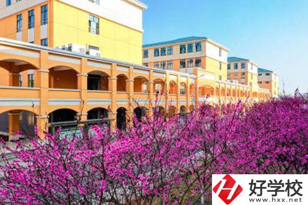 湖南省隆回縣職業(yè)中等專業(yè)學校是公辦還是民辦？