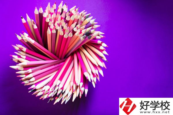在懷化有什么職?？梢詫W(xué)習(xí)幼師？好不好？