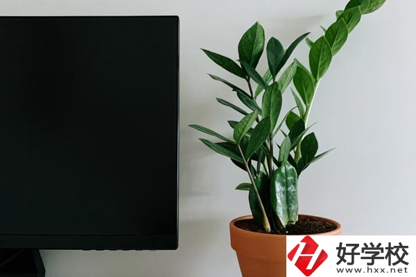 岳陽市網(wǎng)絡(luò)工程職業(yè)技術(shù)學(xué)校有哪些熱門專業(yè)？