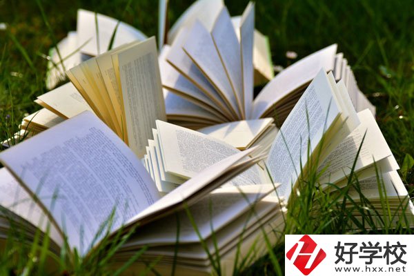 中方縣職業(yè)中等專(zhuān)業(yè)學(xué)校有什么專(zhuān)業(yè)？好不好？
