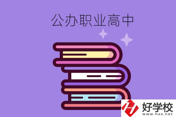 長(zhǎng)沙市有哪些公辦職業(yè)高中學(xué)校？