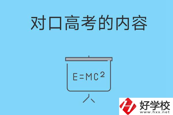 湖南職高對(duì)口高考主要考什么內(nèi)容？難度大不大？