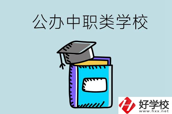 湘西的公辦中職類學(xué)校一共有多少所？