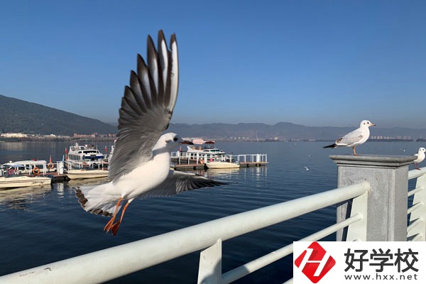 準(zhǔn)備讀中專，衡陽縣職業(yè)中專好不好？