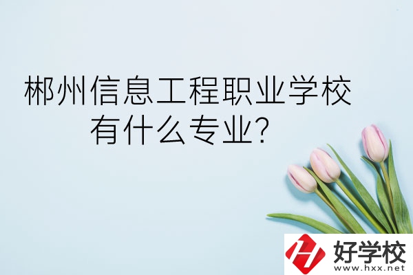 郴州信息工程職業(yè)學(xué)校有什么專業(yè)？