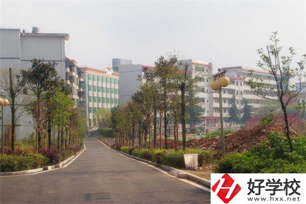 益陽(yáng)有哪些高級(jí)技校？學(xué)校有什么亮點(diǎn)？