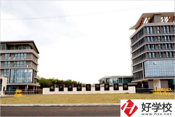 在株洲云龍職校城智慧路上有什么職校？