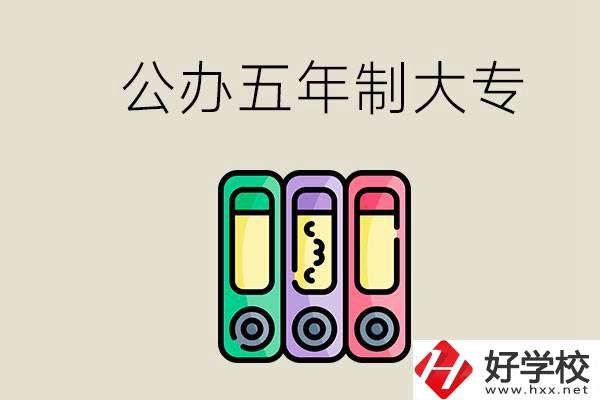 岳陽有什么公辦的五年制大專學(xué)校？讀了有用嗎？